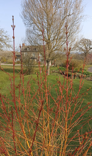 A photo of one of Marion & Clive's gardens