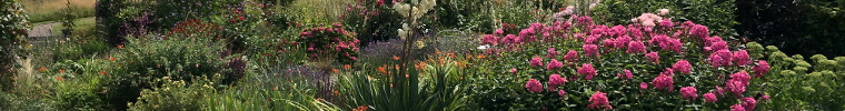 A photo of a flower border