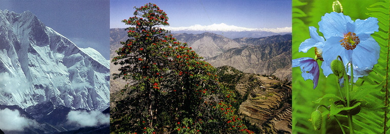 Three photos of scenes from the Himalayas