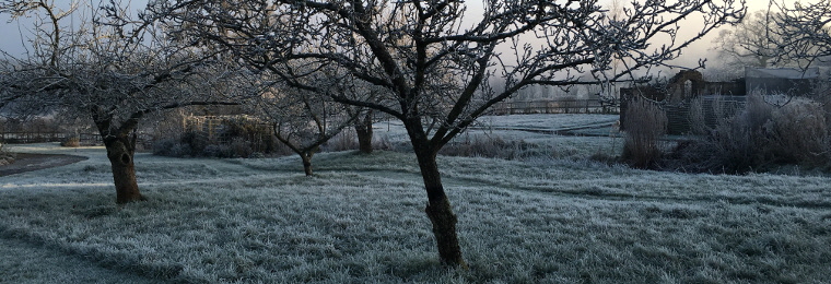 A photo of a garden in winter